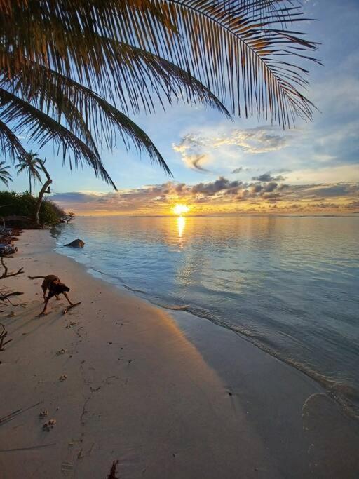 Bungalow Atypique Ti Bambou A 500M De La Plage Sainte-Anne  Ngoại thất bức ảnh
